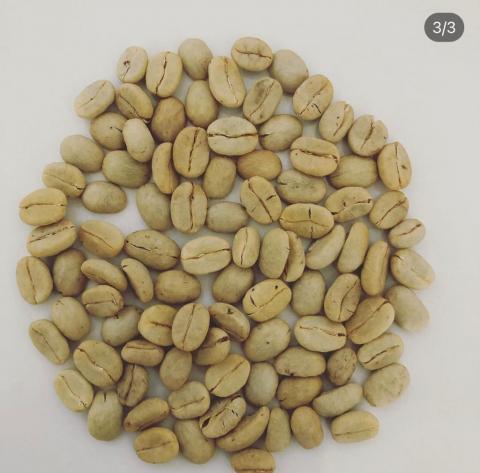 Green Special Coffee Image