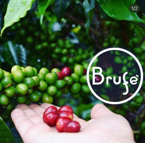 Green Special Coffee Image