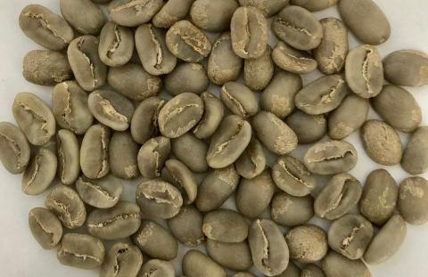 Green Special Coffee Image