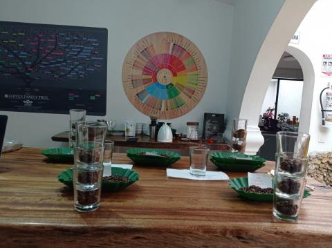 Conventional and Specialty Green Coffee Image