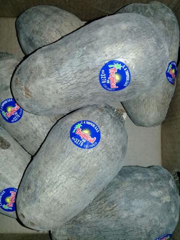 white-yam.jpg