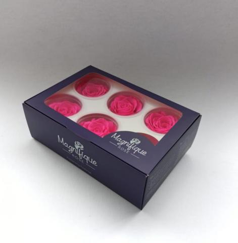 WINDOW BOX BY 6 PRESERVED ROSE HEADS Image