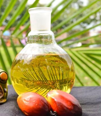 Refined soybean oil RBD Image