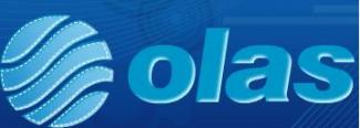 Confecciones Olas S.A - Producción y comercialización de prendas de vestir y ropa interior liviana, con especialidad en el tejido de punto.