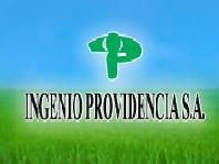 Ingenio Providencia S.A - cultivo de caña de azúcar y su transformación en azúcar y otros derivados.
