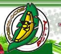 C.I. Pasabocas Patty S.A - Fabricación y comercialización de pasabocas fritos de las marcas ‘Mayté’ y ‘Lulú’, con especialidad en platanitos y maduritos.