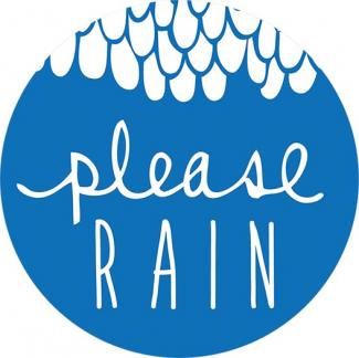 Please Rain Logo