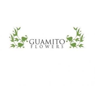 Guamito Flowers 