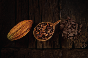 cocoa colombia