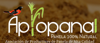 apropanal-logo.png