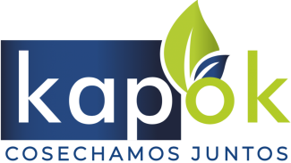 kapok-trade-logo.png