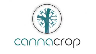 logo-cannacrop-ok.jpg