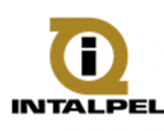 logo-intalpel.png