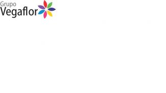 logo-vega.jpg