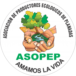 logo.asopep.png