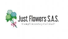 JUST FLOWERS logo