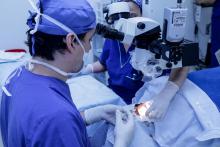 Cirugía catarata  con Láser  de Femtosecond - LenSx  unilateral 