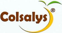 Colsalys Logo