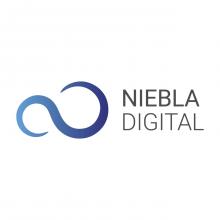logo-color-niebla-digital_mesa-de-trabajo-1.png