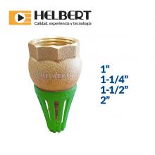 Brass foot valve with plastic strainer Image