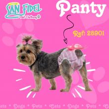 Panty for pets Female Image