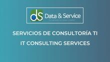 IT Consulting Services Image