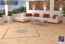 Clay floor tile 40x20 exclusive line Image