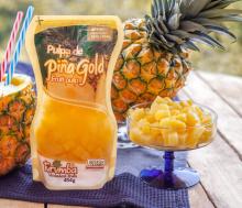 GOLD PINEAPPLE PULP Image