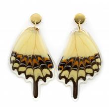 wing earrings thoas butterfly Image