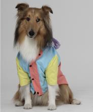 Dog raincoat Image