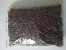 Urabá Native Cacao beans  Image