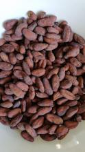 Meta Native Cacao beans Image