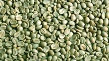 Specialty Green Coffee Micro lots Image