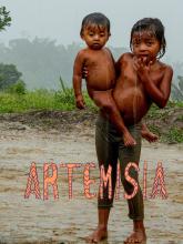Artemisia (short film documentary/animation) Image