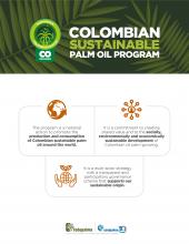 SUSTAINABLE COLOMBIAN PALM OIL Image