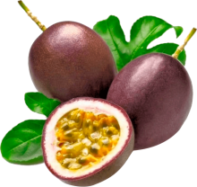 GULUPA -  Passiflora edulis Image