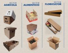 Carton Packaging Products Image