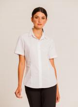 Women's Oxford Shirt Short Sleeve and Long Sleeve  Image