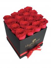 BOX BY 16 PRESERVED ROSE HEADS Image