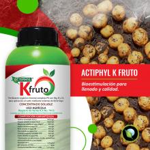 Actiphyl Kfruto Image