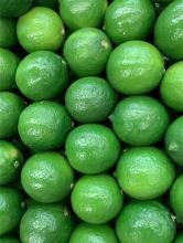 Limes Image