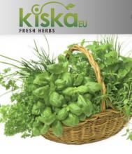 fresh herbs   Image