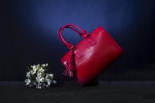 Red handbag Image