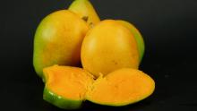 Baby Mango Image