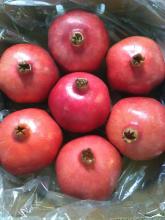 Pomegranate Image