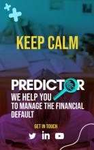 PREDICTOR - Financial default prediction Image
