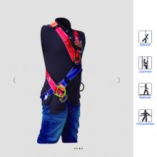 Full body harness, X style Image