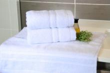 Antibacterial Towel Image