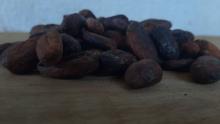 cocoa beans Image