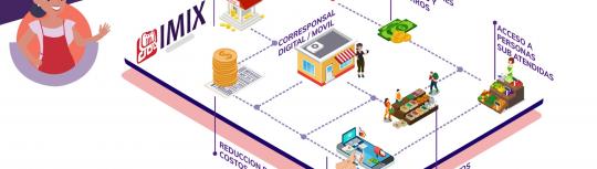 Agent Networks as a Service 